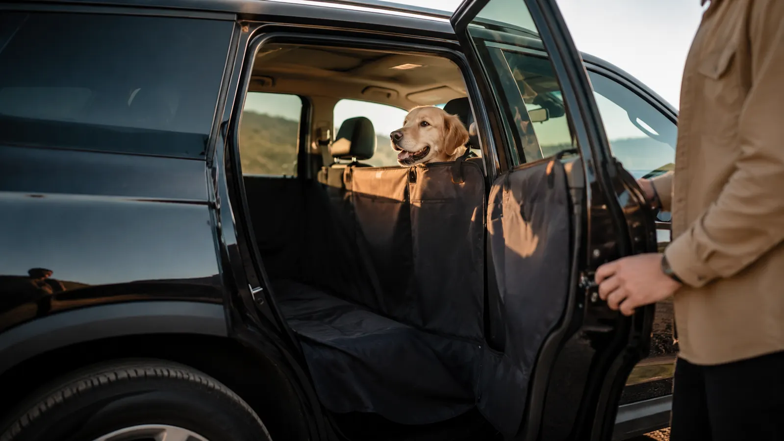 An open car door with a fabric seat cover visible and a dog peeking out toward a tailgate